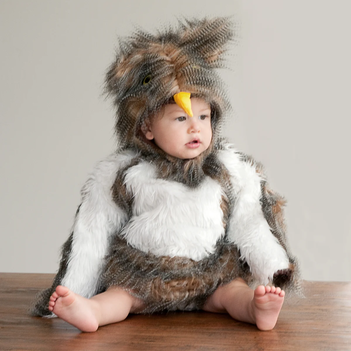 Baby Owl Costume